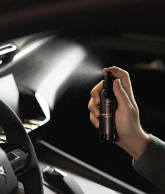 Spray Perfume Coche AROMATIC•89• | 100ml Fragancia Instantánea Elimina Olores