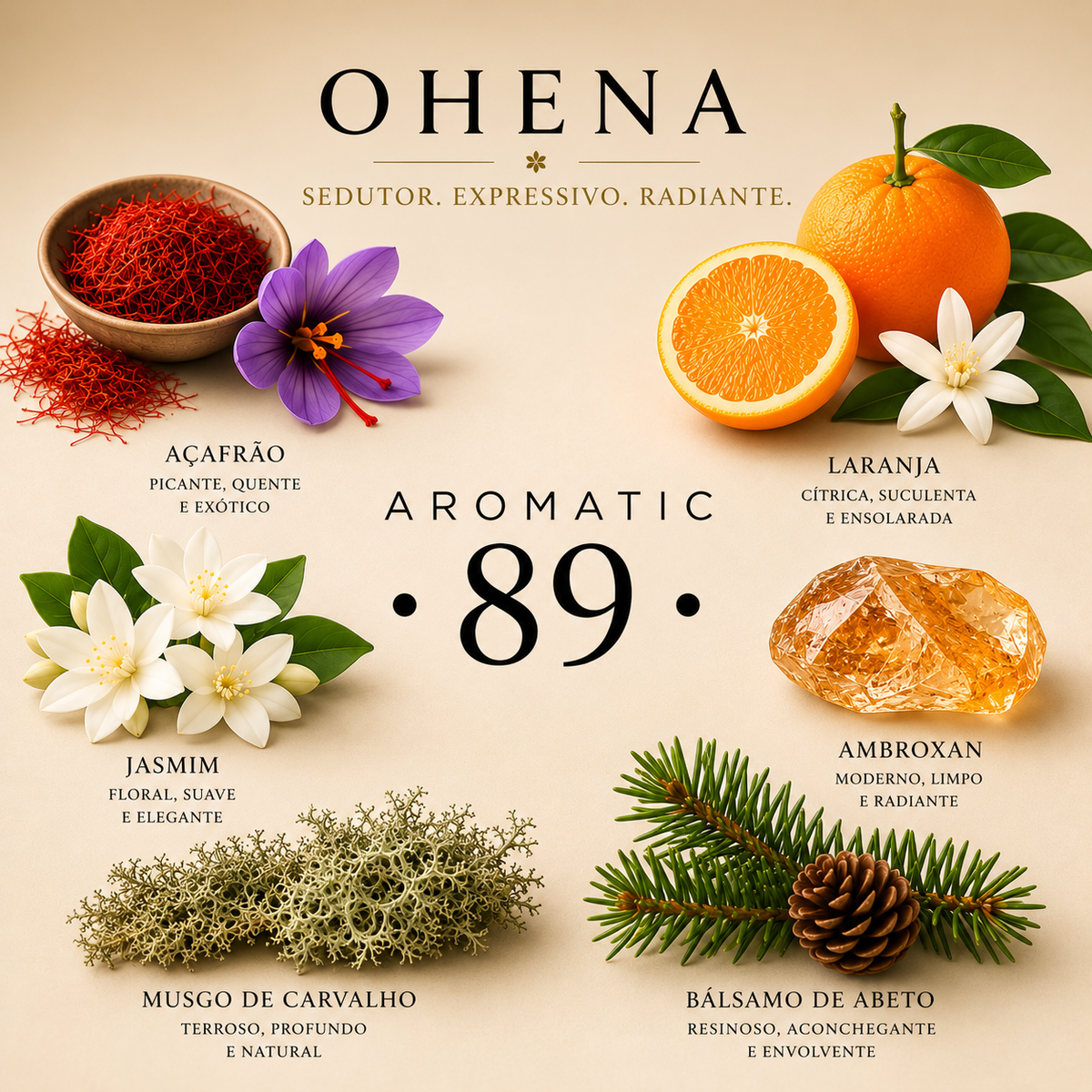 Conjunto Cuidados Carro AROMATIC•89• | Kit Completo Limpeza Fragrância Premium